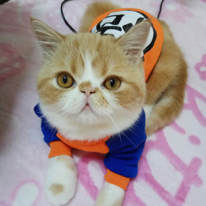 Fashion Pet Cat Costume Summer Cat Vest Hoodie Cozy Clothes for Cats Katten Coat Clothing