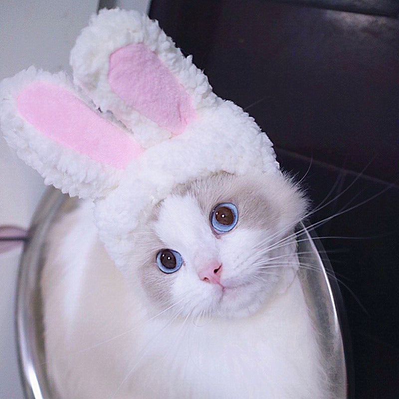 Cute Pet Cat Cap Funny Hat Rabbit Ears Hat Kitten Decor Party Cosplay Costume Accessory Outdoor Head Wear